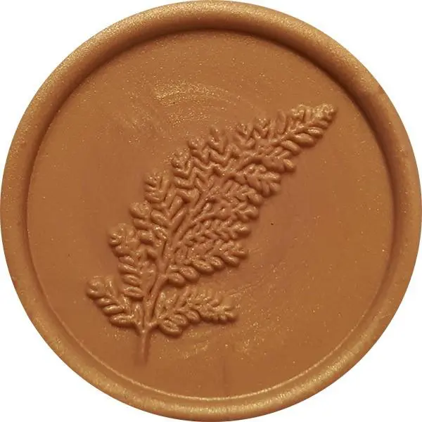 ODBICIA LAKOWE - PAPROĆ 1