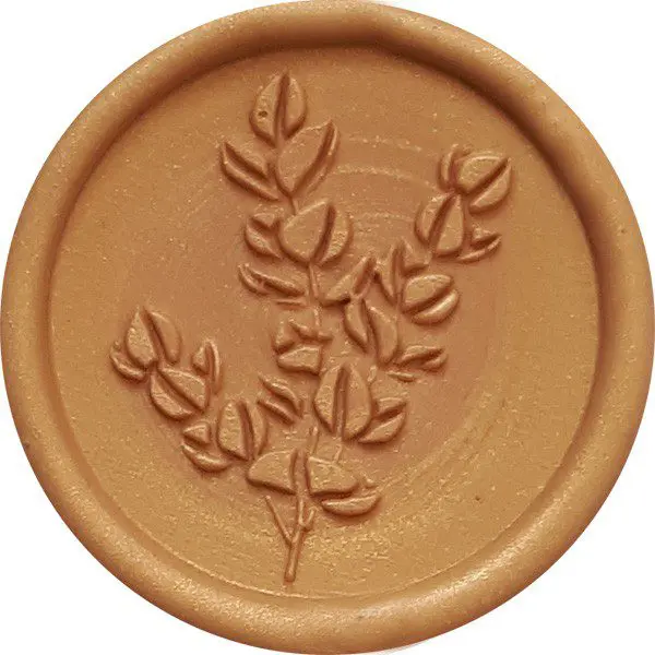 ODBICIA LAKOWE - Eukaliptus