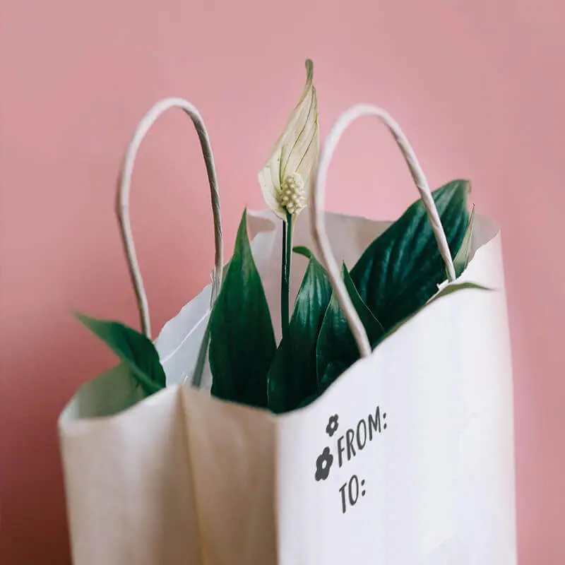 LITTLE-NIO-kolekcja-DN -1