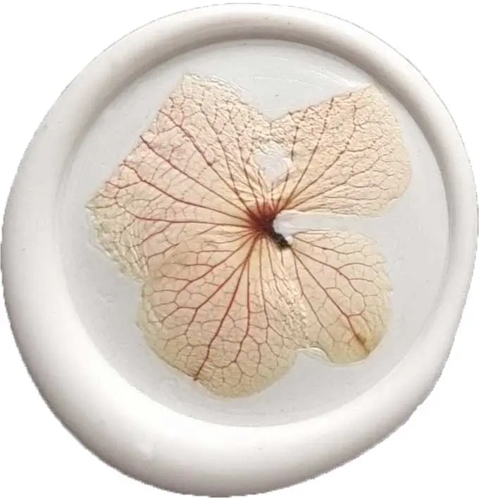 Odbicia z kwiatami - Hortensja