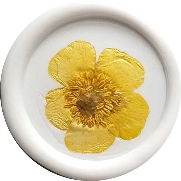 odbicia-z-kwiatami-Jaskier-polny-miniatur