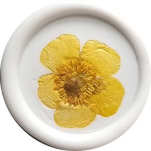 odbicia-z-kwiatami-Jaskier-polny-miniatur